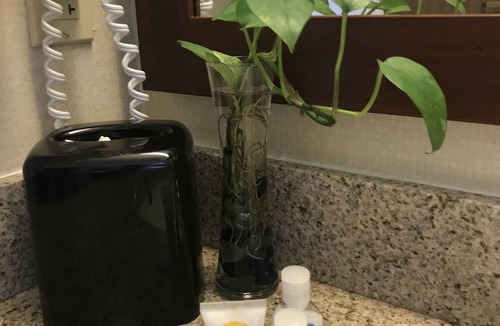 Ellsworth Hotel | Comfort Inn Ellsworth - Bar Harbor