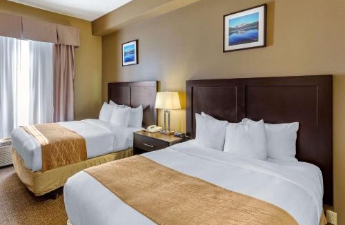 Evanston Hotel | Comfort Inn Evanston I-80