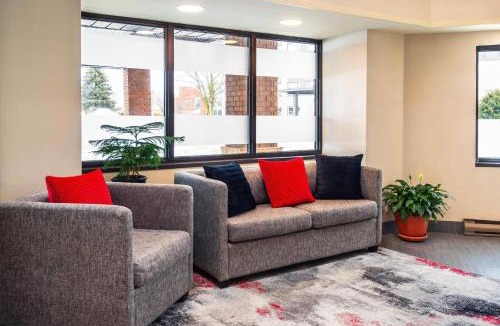 Downtown Gatineau Hotel | Comfort Inn Gatineau