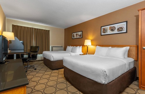 Kapuskasing Hotel | Comfort Inn Kapuskasing