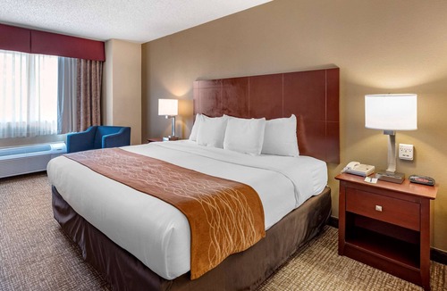 Kelso Hotel | Comfort Inn Kelso - Longview