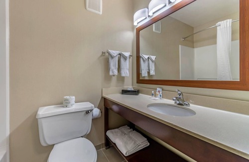 Tri-Cities Hotel | Comfort Inn Kennewick Richland