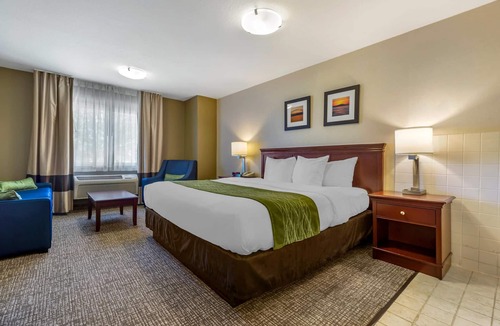 Tri-Cities Hotel | Comfort Inn Kennewick Richland
