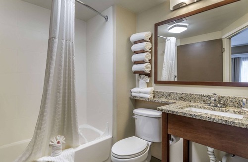 Tri-Cities Hotel | Comfort Inn Kingsport Southeast