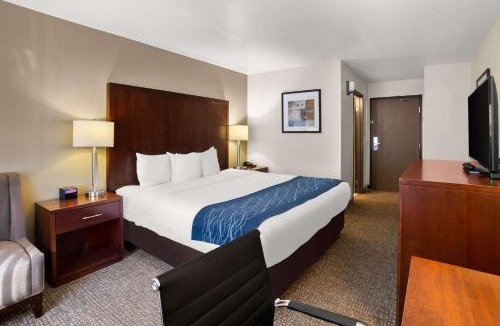 Lacey Hotel | Comfort Inn Lacey - Famous Sporting Event