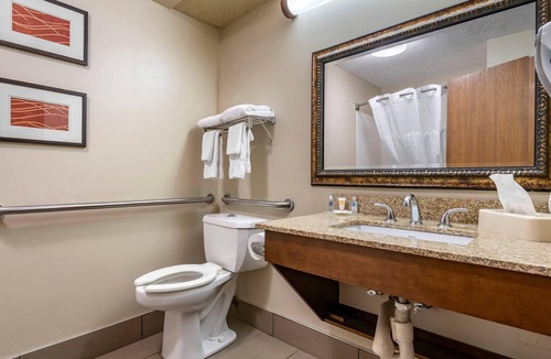 Lexington Hotel | Comfort Inn Lexington I-75