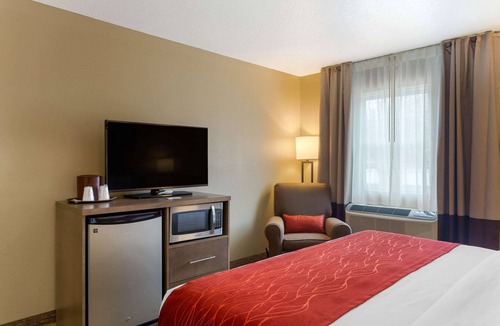 Marshall Hotel | Comfort Inn Marshall Station