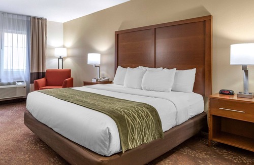 Okemos Hotel | Comfort Inn Okemos - East Lansing
