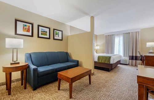 Plover Hotel | Comfort Inn Plover-Stevens Point