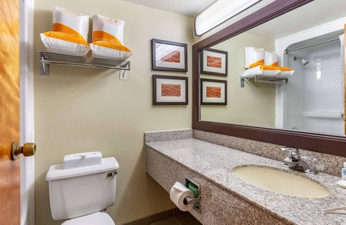 Stafford Hotel | Comfort Inn Quantico