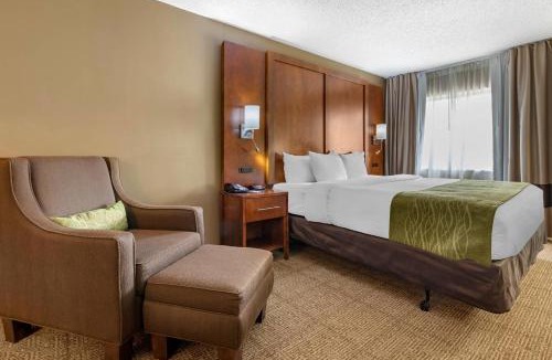 Romeoville Hotel | Comfort Inn Romeoville - Bolingbrook