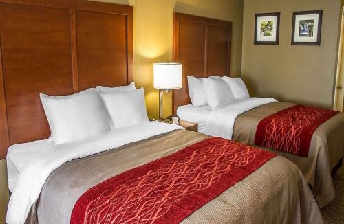 Roseburg Hotel | Comfort Inn Roseburg