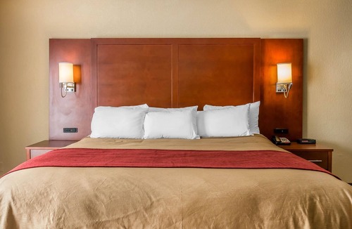 Savannah Hotel | Comfort Inn Savannah Midtown