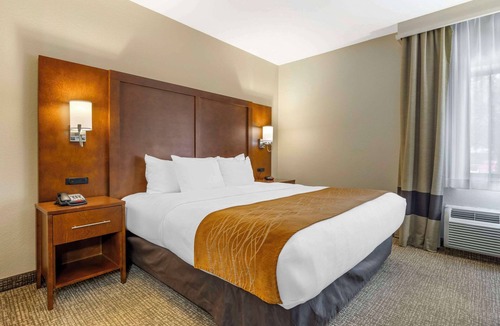 Springfield Hotel | Comfort Inn South - Springfield
