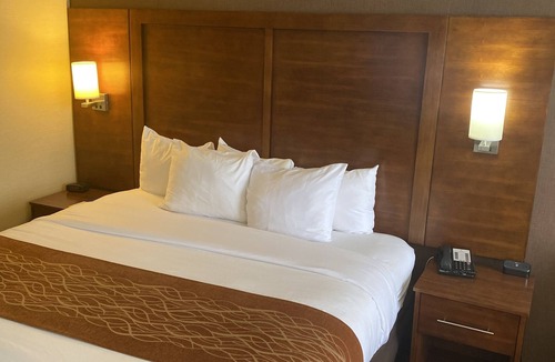 Springfield Hotel | Comfort Inn Springfield