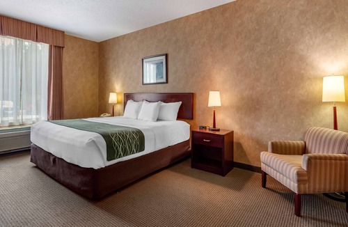 Sturgeon Falls Hotel | Comfort Inn Sturgeon Falls