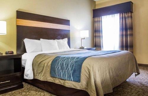 Stone Mountain Hotel | Comfort Inn & Suites at Stone Mountain