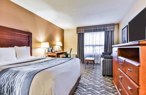 Windsor Hotel | Comfort Inn & Suites Ambassador Bridge