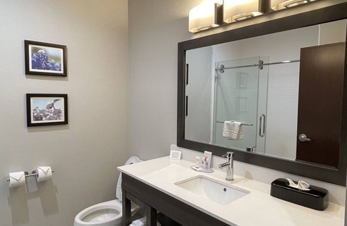 Mesquite Hotel | Comfort Inn & Suites Balch Springs - SE Dallas