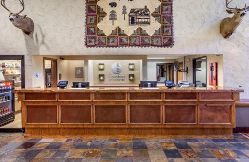 Branson Hotel | Comfort Inn & Suites Branson Meadows