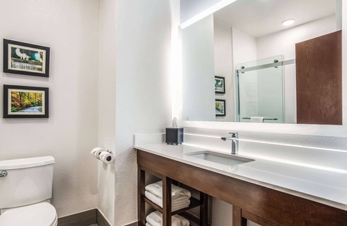 Brevard Hotel | Comfort Inn & Suites Brevard North