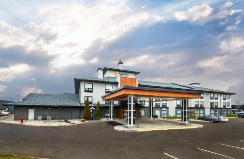Ingersoll Hotel | Comfort Inn & Suites