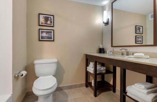 Napanee Hotel | Comfort Inn & Suites