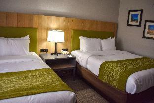 Calhoun Hotel | Comfort Inn & Suites Calhoun South
