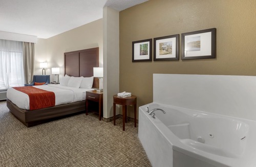 Canton Hotel | Comfort Inn & Suites Canton Riverstone Area