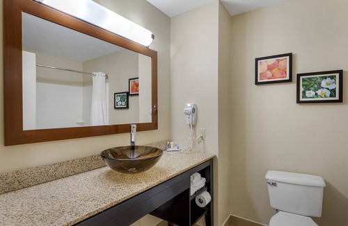 Canton Hotel | Comfort Inn & Suites Canton Riverstone Area