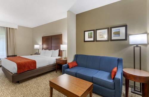 Canton Hotel | Comfort Inn & Suites Canton Riverstone Area