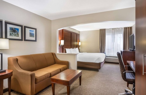 Conway Hotel | Comfort Inn & Suites Conway
