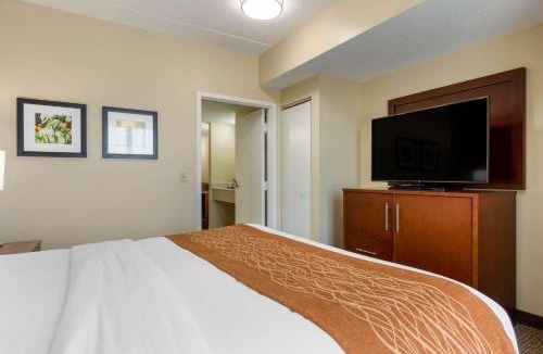 Cordele Hotel | Comfort Inn & Suites Cordele