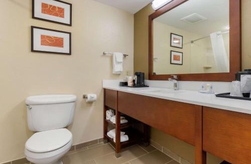 Cordele Hotel | Comfort Inn & Suites Cordele