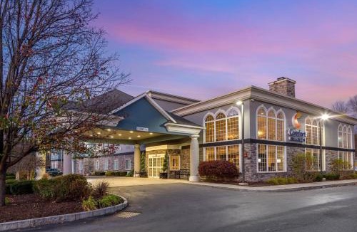 Castleton-on-Hudson Hotel | Comfort Inn & Suites East Greenbush - Albany