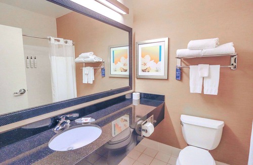 Houston Hotel | Comfort Inn & Suites Houston North - Spring