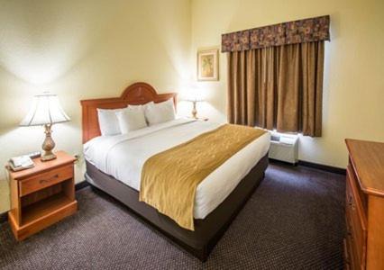 Jupiter Hotel | Comfort Inn & Suites Jupiter I-95