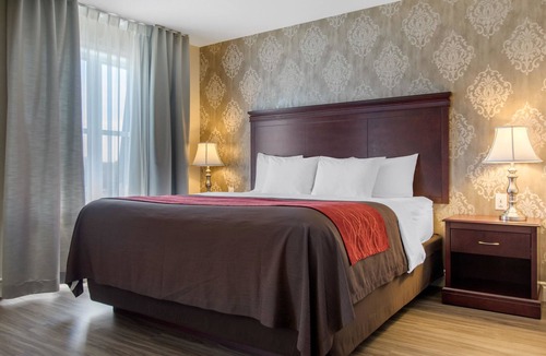 Saint-Nicolas Hotel | Comfort Inn & Suites Levis/Rive Sud Quebec city