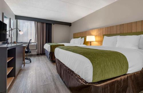 Galeville Hotel | Comfort Inn & Suites Liverpool - Syracuse North