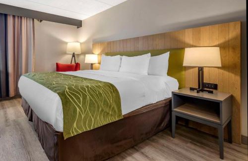 Galeville Hotel | Comfort Inn & Suites Liverpool - Syracuse North