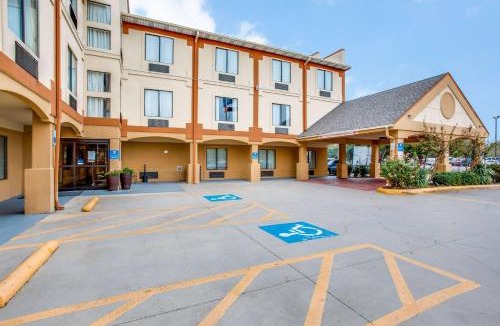 Dallas Hotel | Comfort Inn & Suites Love Field-Dallas Market Center