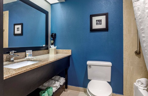South Arlington Hotel | Comfort Inn & Suites Mansfield