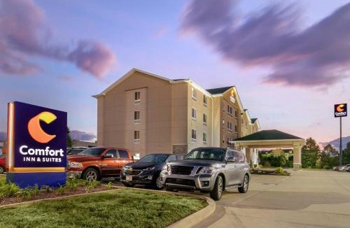 Marion Hotel | Comfort Inn & Suites Marion I-57