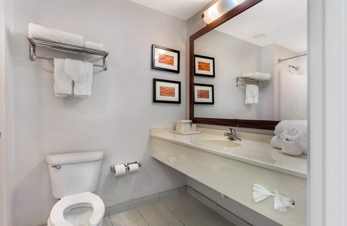 Red Oak Hotel | Comfort Inn & Suites Red Oak - Dallas Area