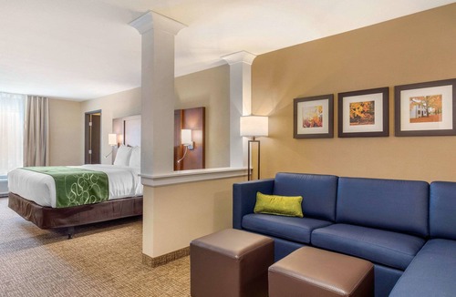 Scotia Hotel | Comfort Inn & Suites Schenectady - Scotia