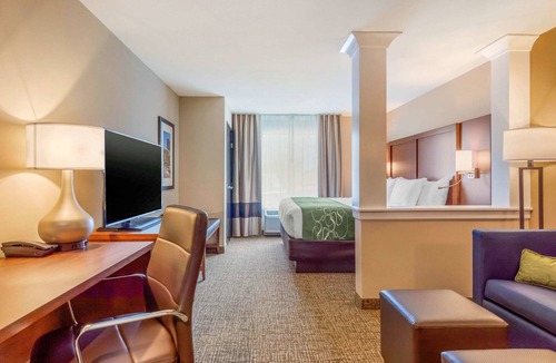 Scotia Hotel | Comfort Inn & Suites Schenectady - Scotia