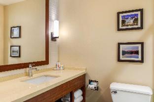 Scotia Hotel | Comfort Inn & Suites Schenectady - Scotia