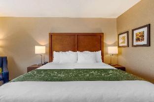 Scotia Hotel | Comfort Inn & Suites Schenectady - Scotia