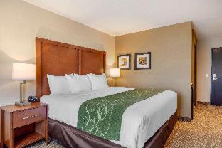 Scotia Hotel | Comfort Inn & Suites Schenectady - Scotia