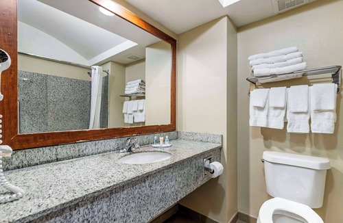 Seguin Hotel | Comfort Inn & Suites Seguin